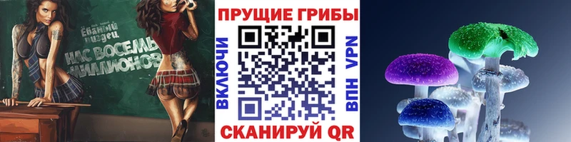 Псилоцибиновые грибы мицелий  кракен маркетплейс  Снежногорск  купить  цена 